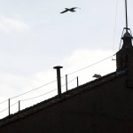 Conclave oggi al via, gli occhi del mondo puntati sul comignolo della Sistina