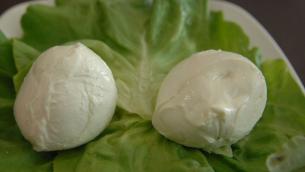 Consorzio tutela mozzarella bufala campana, tutela e vigilanza in primo piano