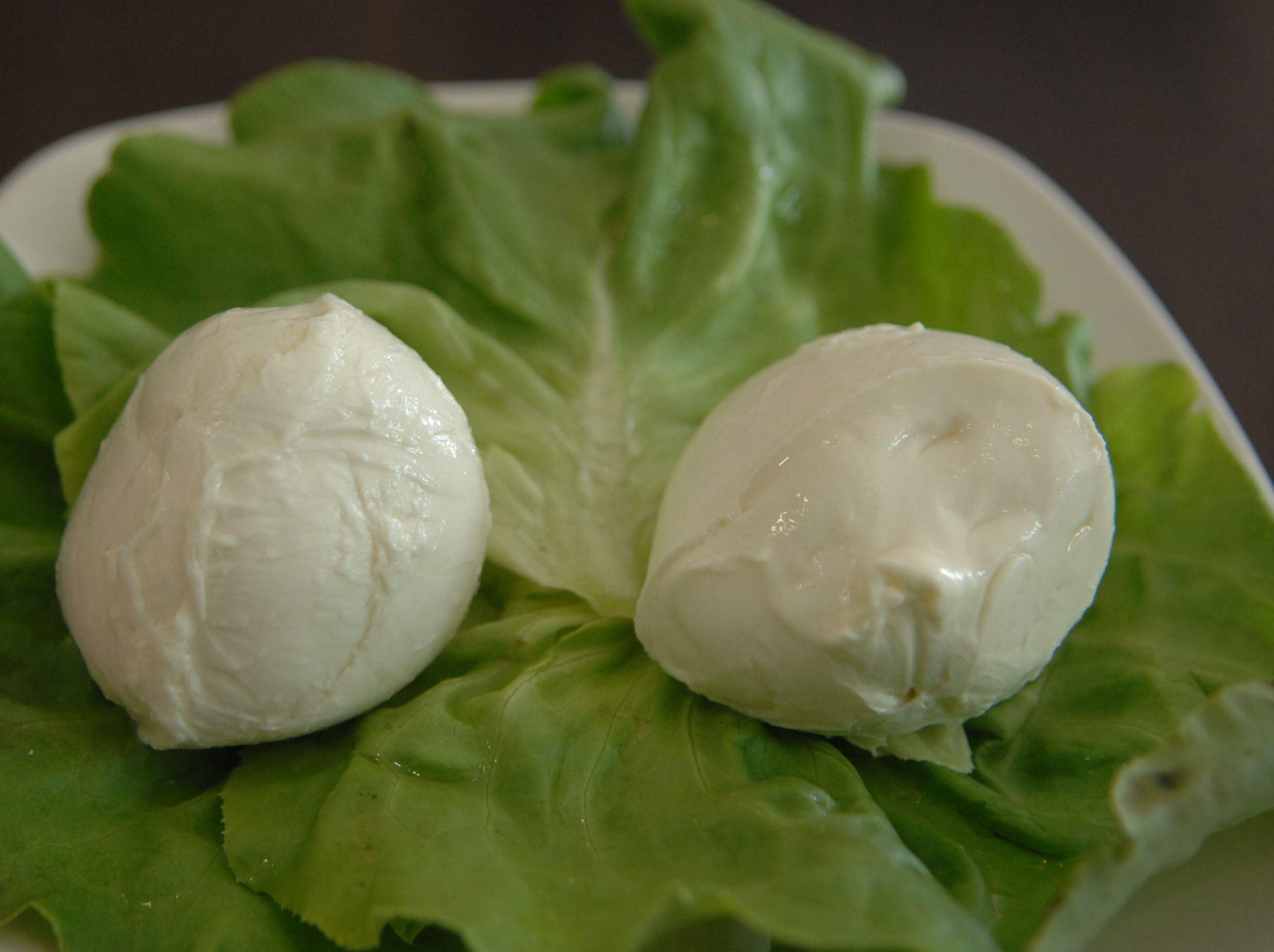 Consorzio tutela mozzarella bufala campana, tutela e vigilanza in primo piano