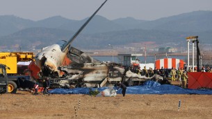 Corea del Sud, aereo con 181 persone a bordo si schianta in atterraggio: ipotesi bird strike