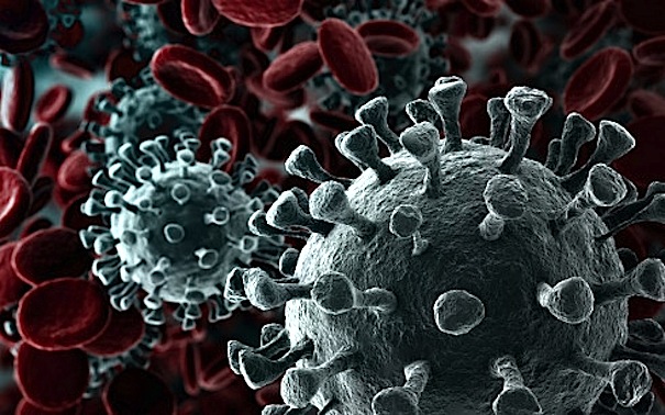 coronavirus-imagem_71b95befa60edbb75b270273c913fb43