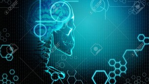 Così il cervello ci 'comanda' per bere e camminare, lo studio