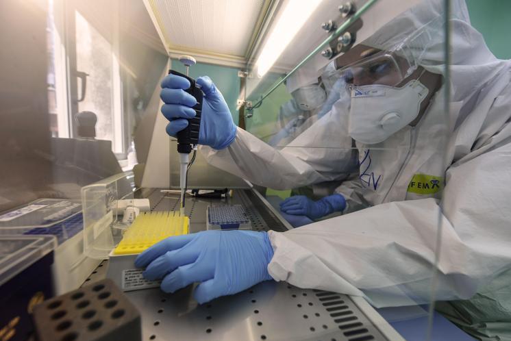 Covid, Cerberus al 42,5% nel mondo: cresce Omicron 2