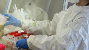 Covid, "così si blocca il virus nelle cellule"