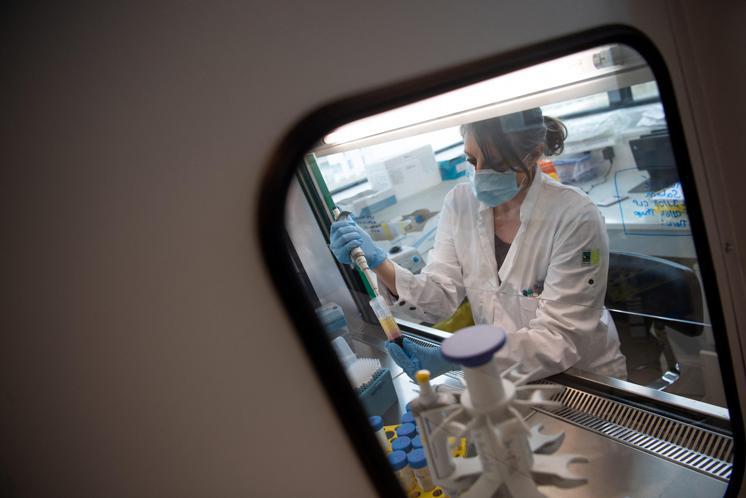 Covid, farmaci antidepressivi 'scudo' contro danni gravi: lo studio