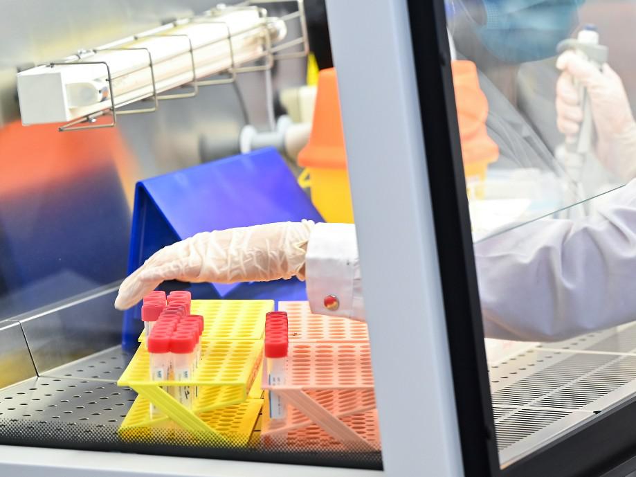 Covid Gb, numero decessi diminuito del 41% in ultima settimana