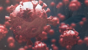 Covid, il virus sta cambiando troppo? Le novità sulla nuova variante