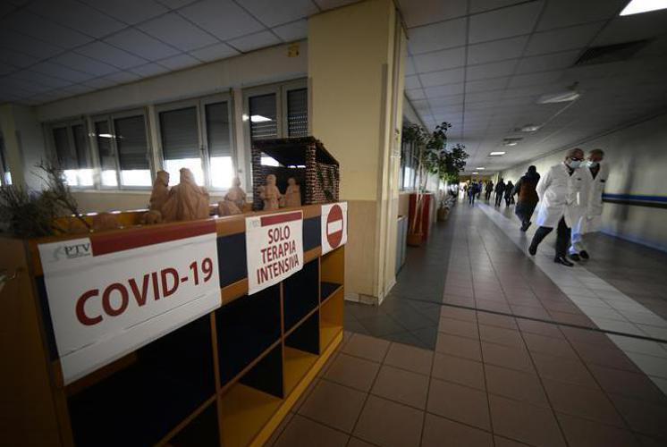 Covid Italia, oggi 13