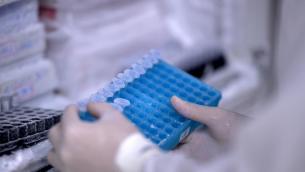 Covid, lo studio: da 3 'vecchi' farmaci alta efficacia protettiva