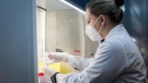 Covid, nuova variante scoperta nel Regno Unito: potrebbe sfuggire ai vaccini