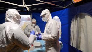 Covid oggi Italia, bollettino Protezione Civile e contagi regioni 29 gennaio