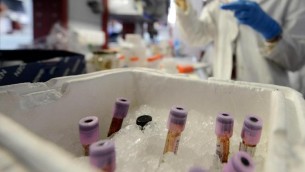 Covid, Oms: 6 varianti sotto osservazione, no prove malattia più grave
