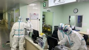 Covid, Oms: "Fuga da laboratorio estremamente improbabile"