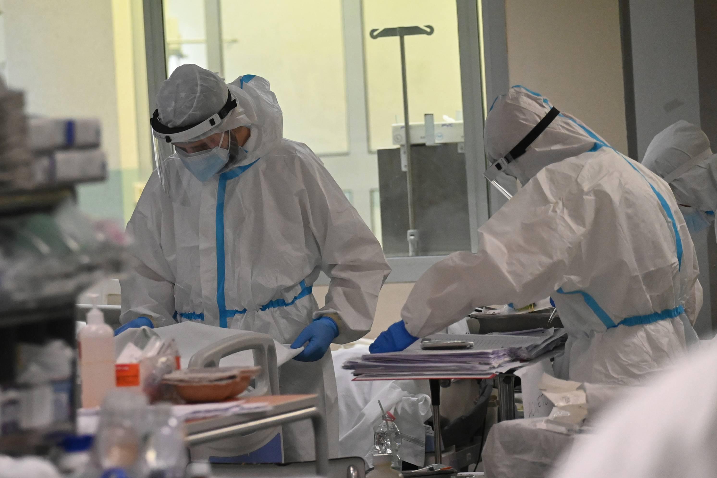 Covid, Palù: "Dobbiamo aspettarci altre pandemie da virus animali"