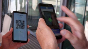 Covid, stop totale al Green pass: cosa dicono Bassetti e Pregliasco