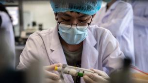 Covid, team Oms all'Istituto di virologia di Wuhan