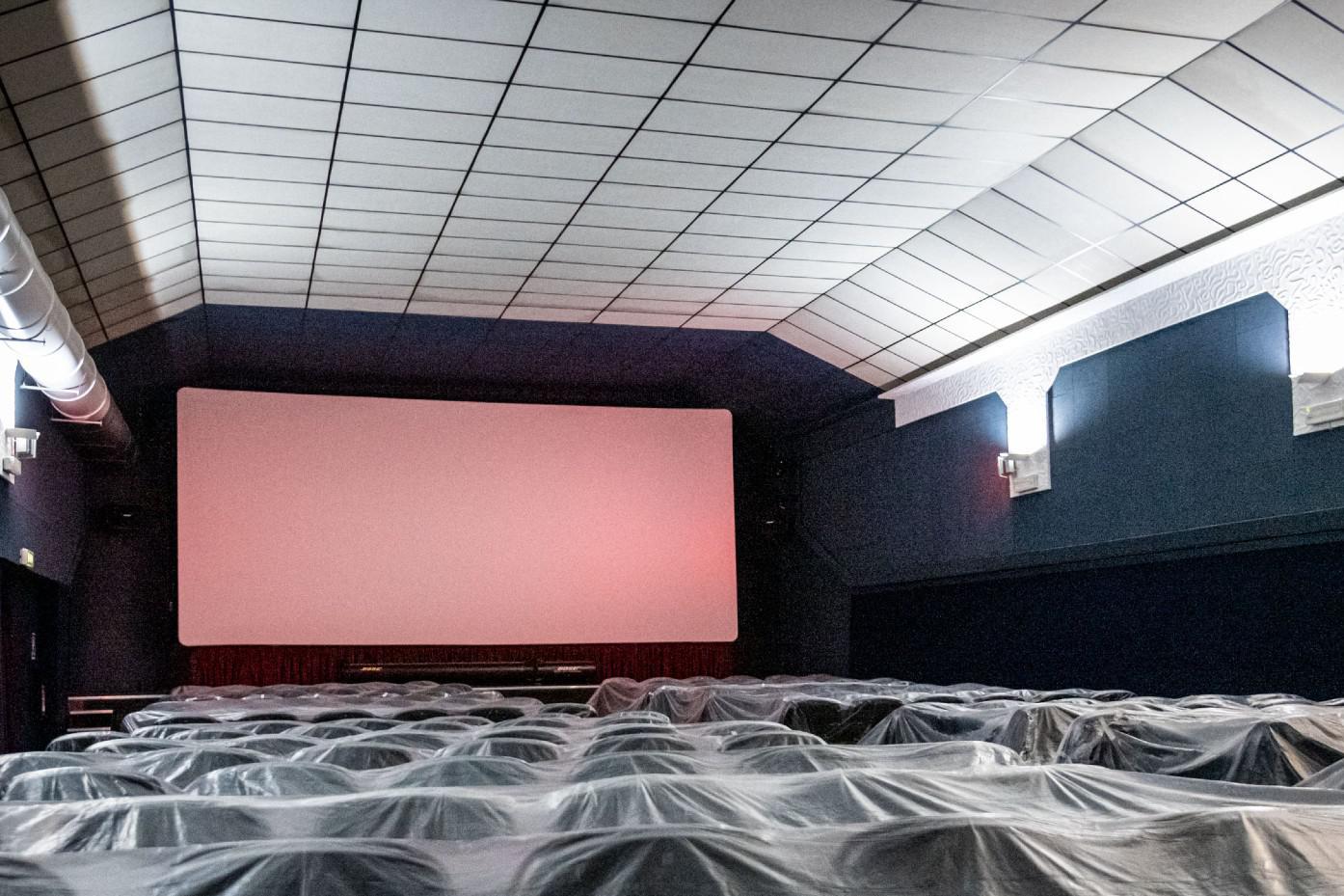 Covid, Vaia: "Dopo Pasqua riaprire cinema e teatri"