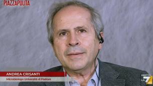 Crisanti: "Chi apre si assuma responsabilità dei morti"