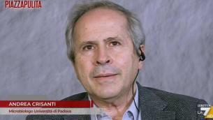 Crisanti: "Sono stato troppo pessimista ma non mi pento"