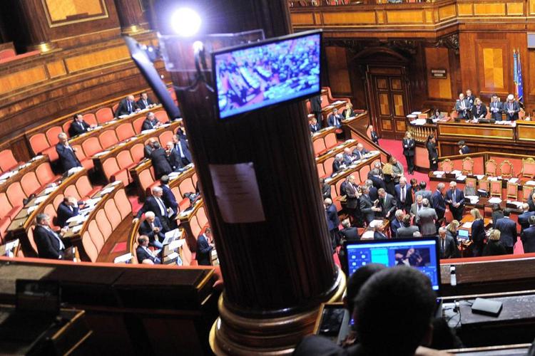 Ddl Zan, la dem Malpezzi: "Renziani lo hanno indebolito"