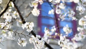 Dedicare equinozio di primavera al calabrese Lilio, proposta di legge Lega