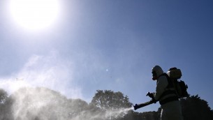Dengue, coppia contagiata in Umbria: "Avevano fatto un viaggio all'estero"