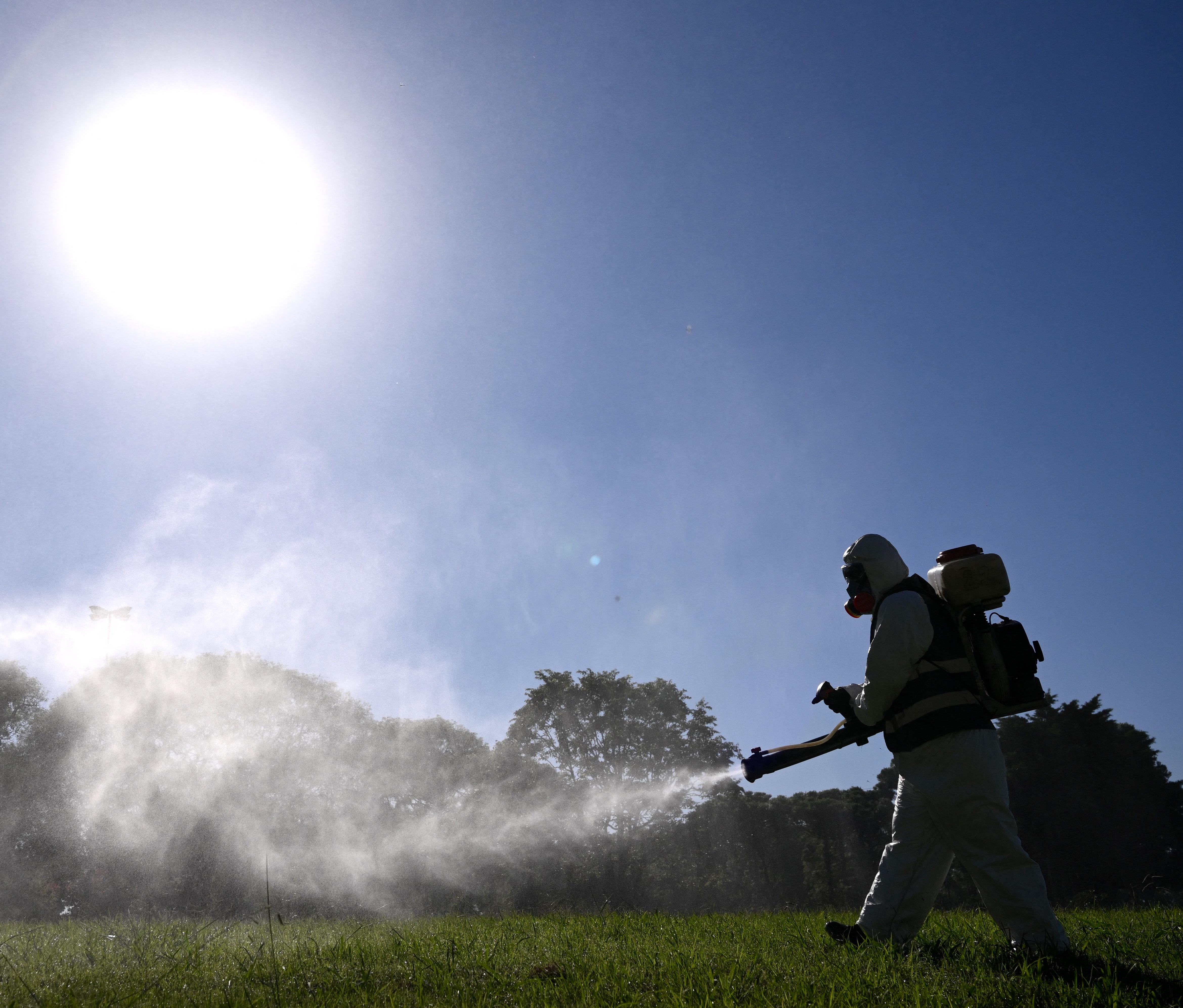 Dengue, coppia contagiata in Umbria: "Avevano fatto un viaggio all'estero"
