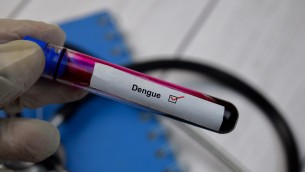Dengue in Italia, cosa fare contro il virus? Le indicazioni in uno studio
