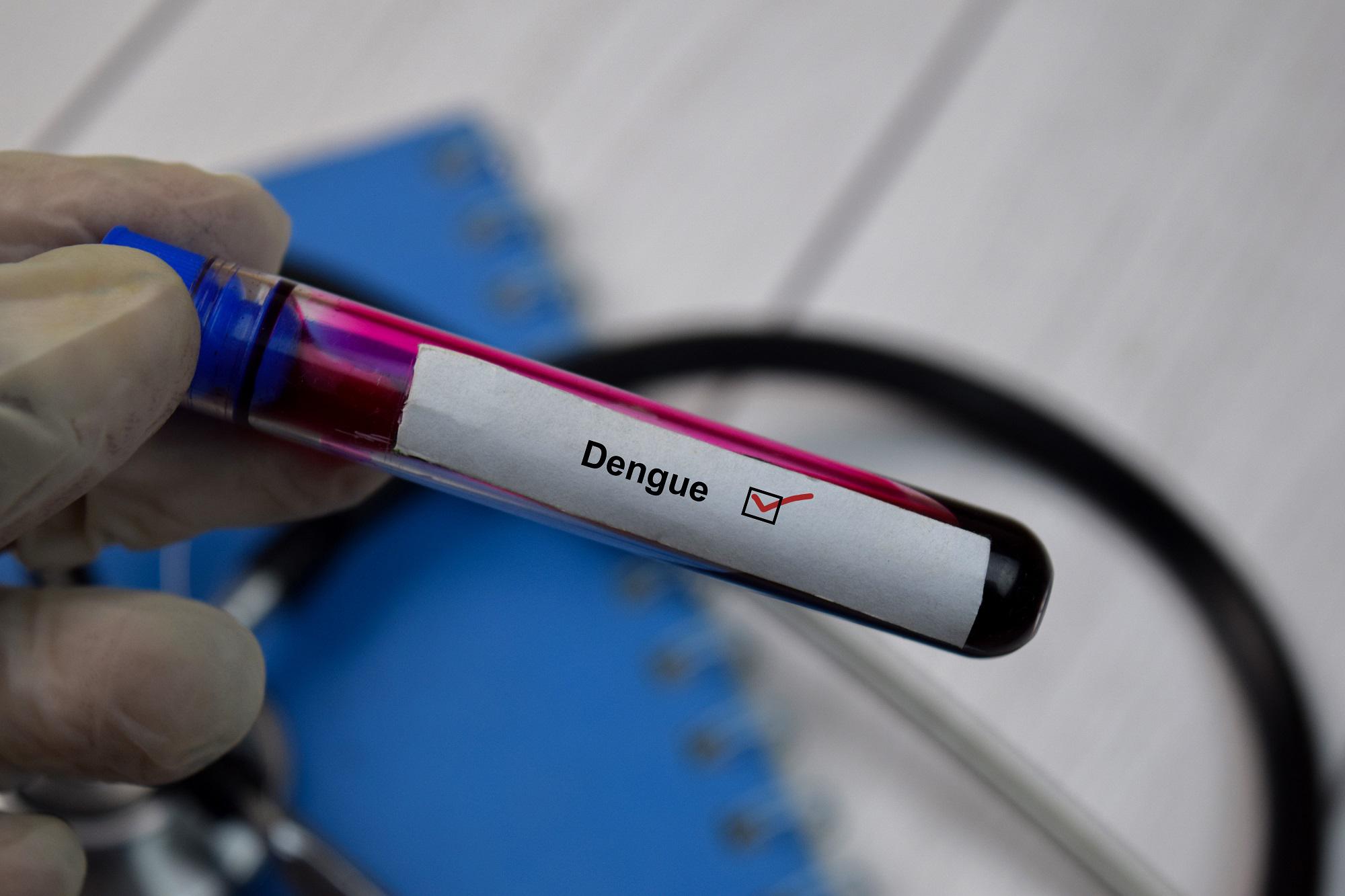 Dengue Italia, casi continuano a salire: il bollettino aggiornato