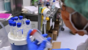 Dengue, West Nile e non solo: oltre 100 i virus che minacciano l'Italia