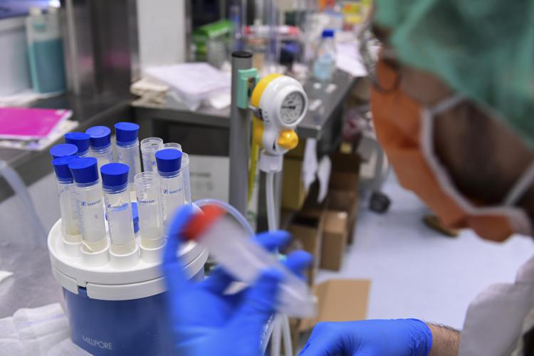 Dengue, West Nile e non solo: oltre 100 i virus che minacciano l'Italia