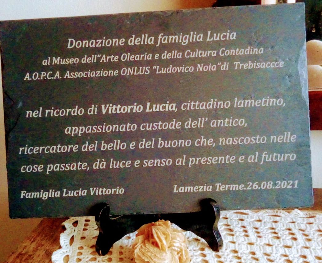 donazione-museo-ludovico-noia