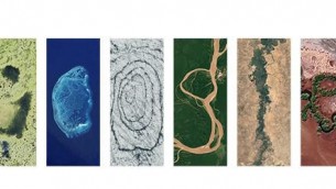 Doodle di Google di oggi per la Giornata della Terra 2024