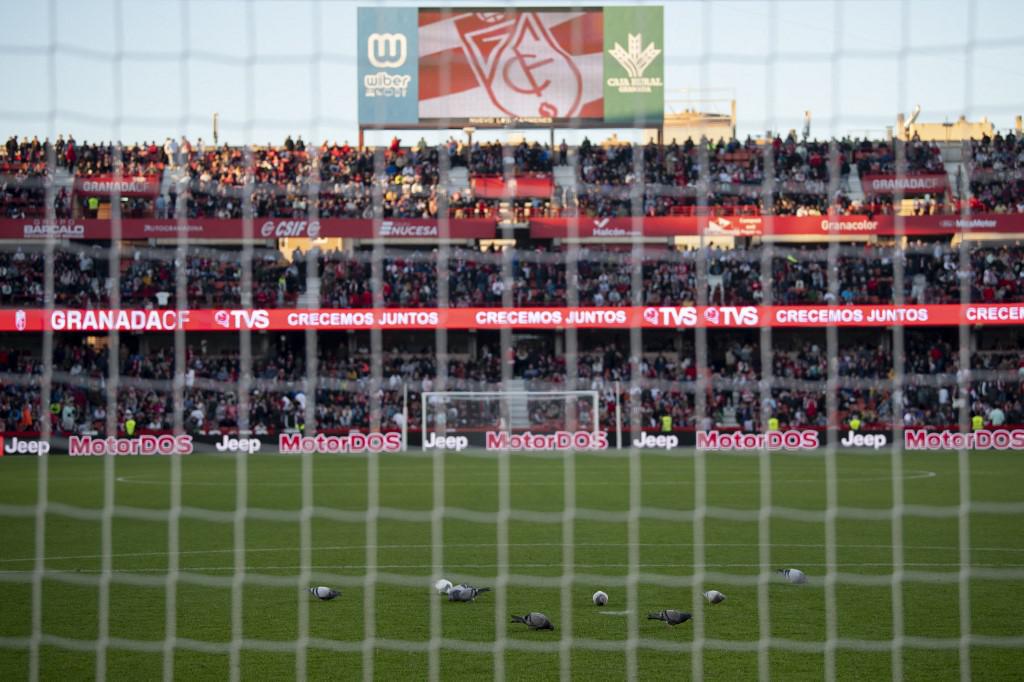 Dramma in Spagna, tifoso muore allo stadio: sospesa Granada-Athletic Bilbao