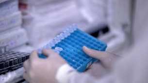 Ecco come si mescola il Dna al concepimento, la mappa
