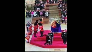 Elisabetta, guardia reale collassa durante veglia feretro - Video