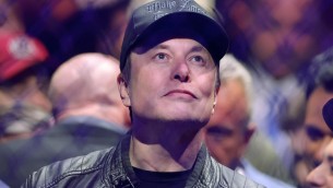 Elon Musk: "Solo Afd può salvare la Germania"