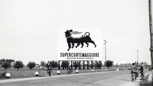 Eni, la vera storia del cane a sei zampe