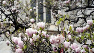 Equinozio di primavera 2025, cosa succede e perché non è il 21 marzo