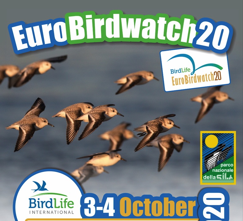 eurobirdwatch_2020_locandina_sila