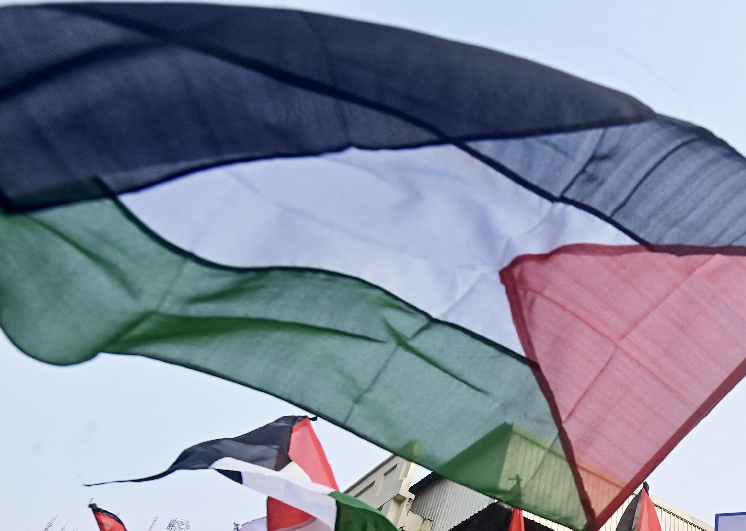 Ex terrorista in piazza per Palestina: "Israele fa guerra, non pretenda la pace"
