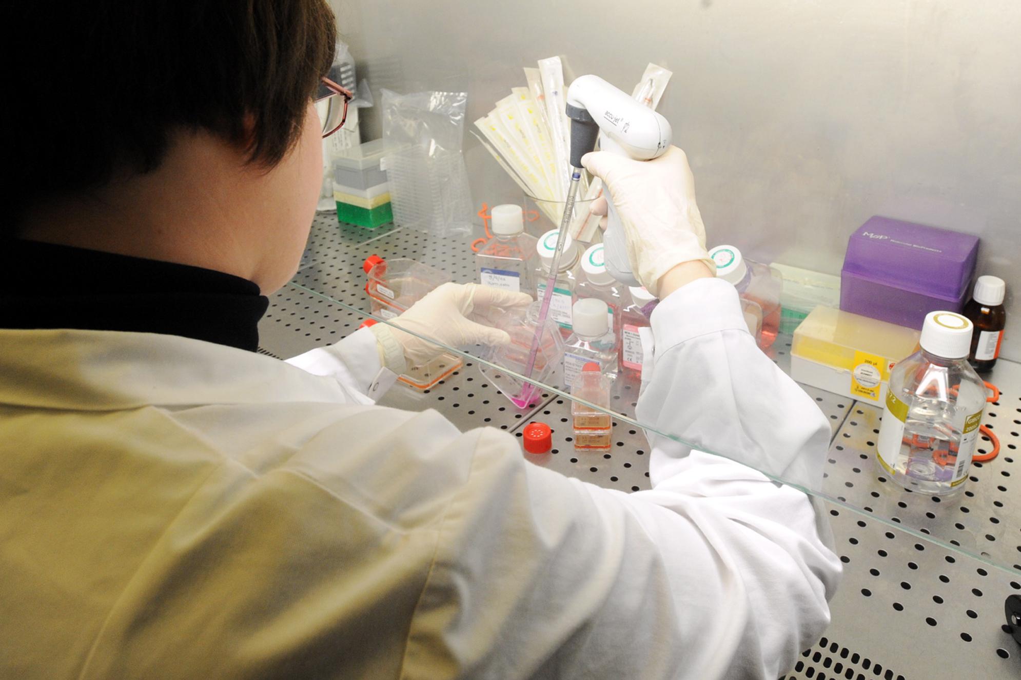 Farmaci, Bruno (Cdmo): "Nostre aziende conto terzi eccellenza in Ue"