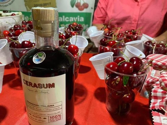 festa-delle-ciliegie-2023-3