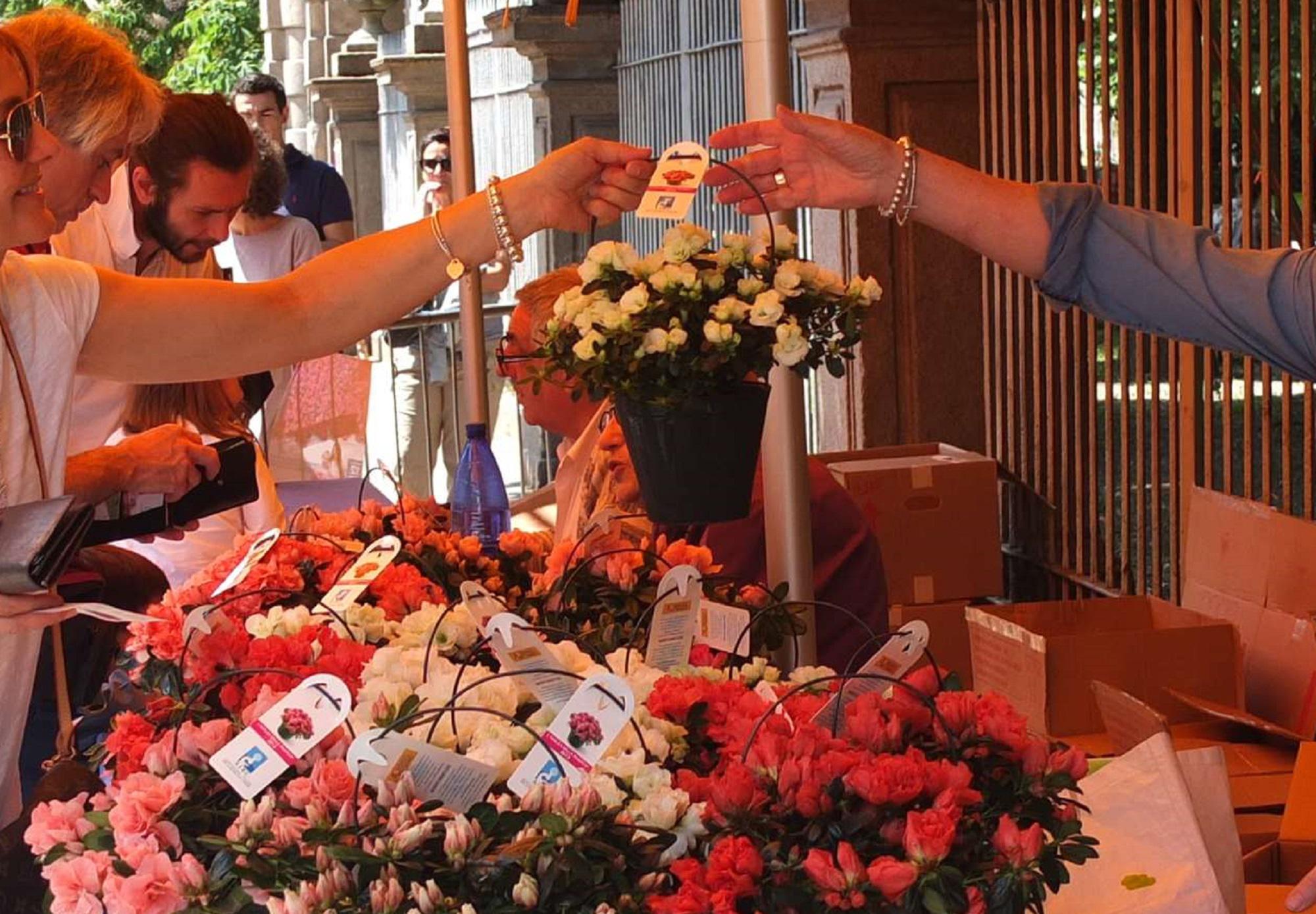 Festa mamma, stravincono i fiori per regalo: li scelgono il 64%