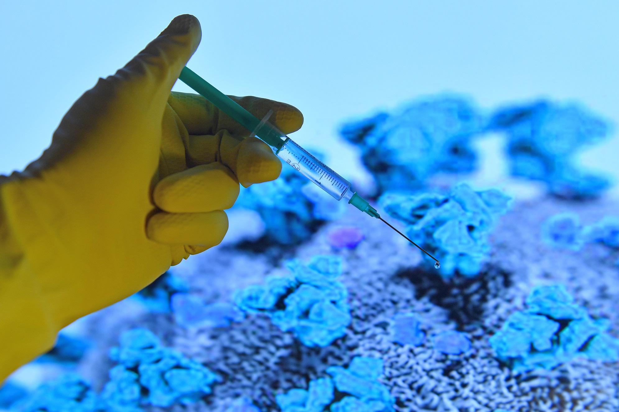 Figliuolo: "Per bloccare Covid fondamentale vaccinare giovani"