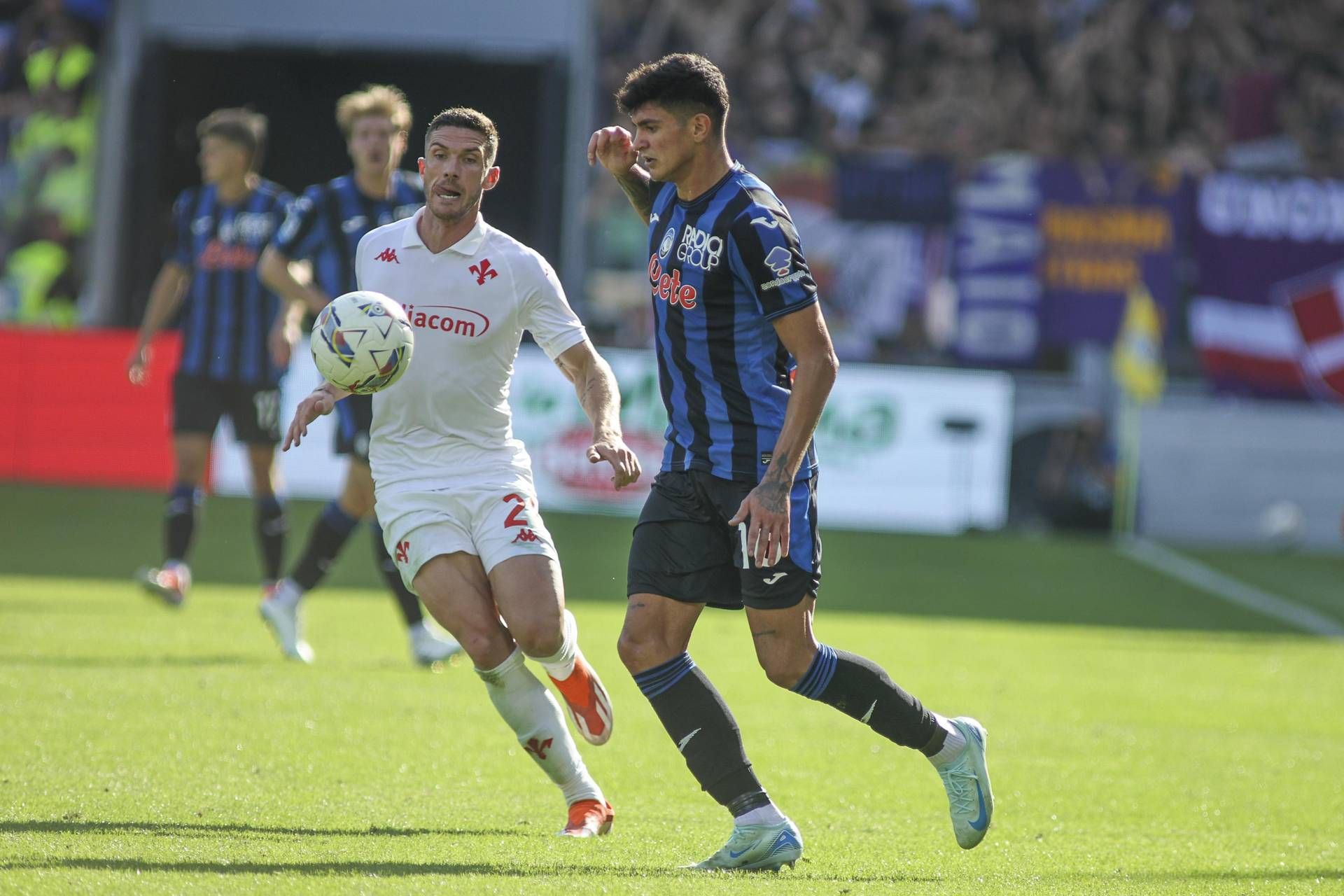 Fiorentina-Atalanta: orario, probabili formazioni e dove vederla in tv