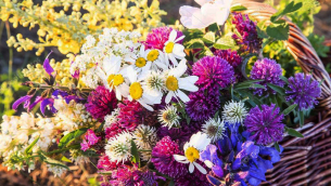 fiori