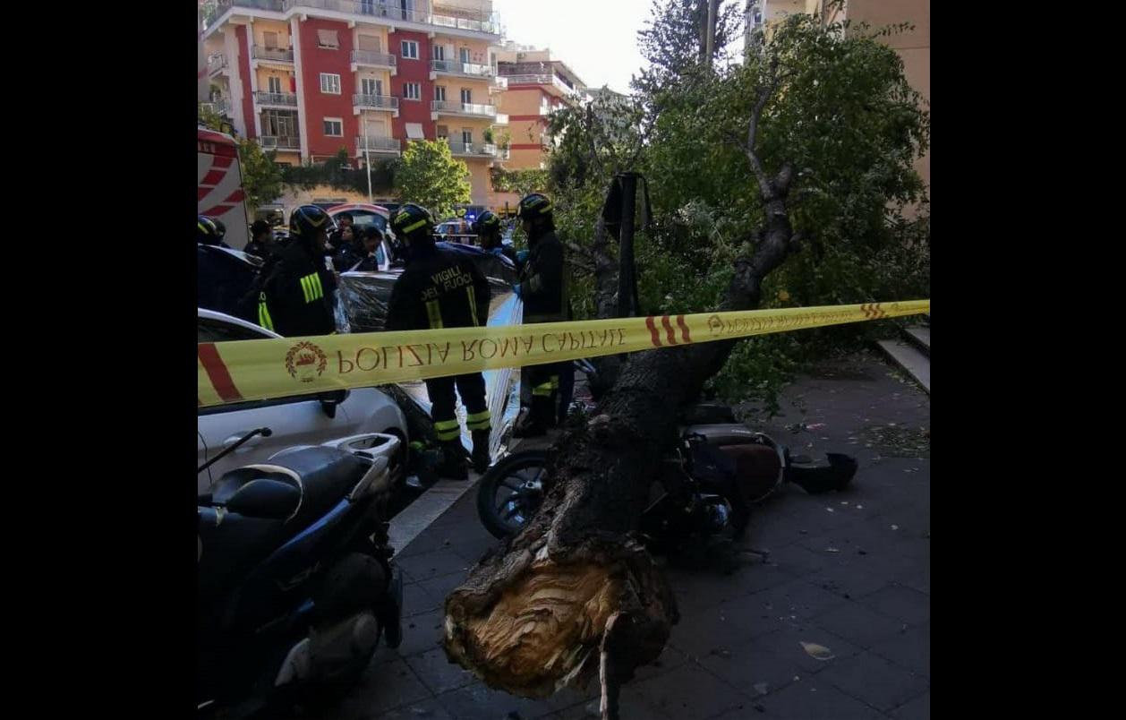 Forte vento su Roma, cade albero a Monteverde: morta una donna