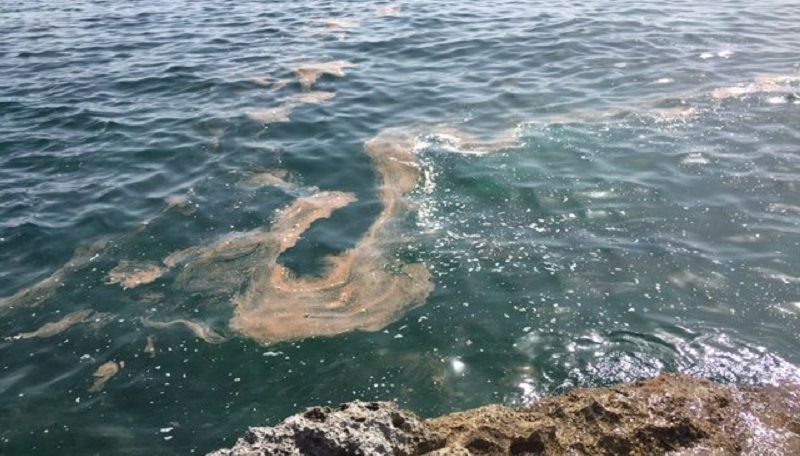 foto-3-rifiuti