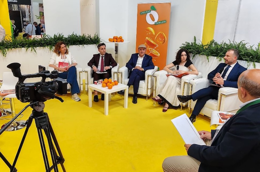 foto-incontro-macfrut-_-da-sx-albertini-_-cilia-_-rapisarda-_-durante-_-falcone